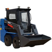 RS07 na kołach. KUBOTA silnik. — miniładowarka Rippa